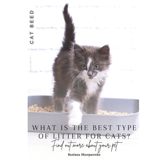 What is the best type of litter for cats?: Find out more about your pet (Paperback)