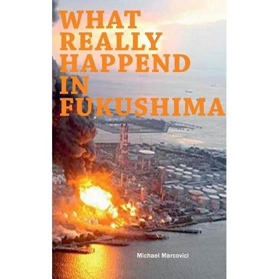 What really happened in Fukushima: Did we learn from the disaster?, (Paperback)