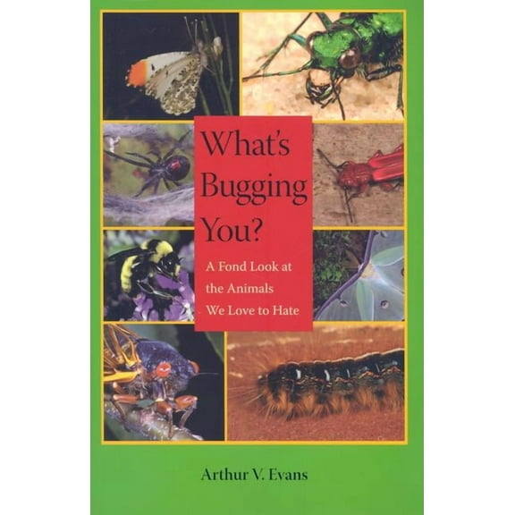 What's Bugging You? : A Fond Look at the Animals We Love to Hate (Hardcover)