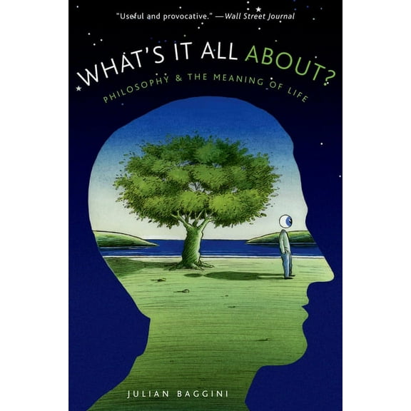 What's It All About?: Philosophy and the Meaning of Life, (Paperback)
