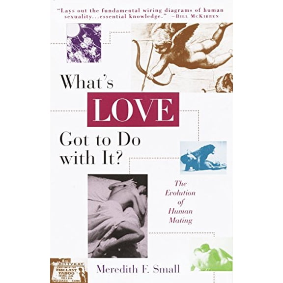 Pre-Owned What's Love Got to Do with It?: The Evolution of Human Mating (Paperback) 0385477023 9780385477024