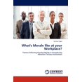 thumbnail image 1 of What's Morale like at your Workplace? (Paperback), 1 of 1