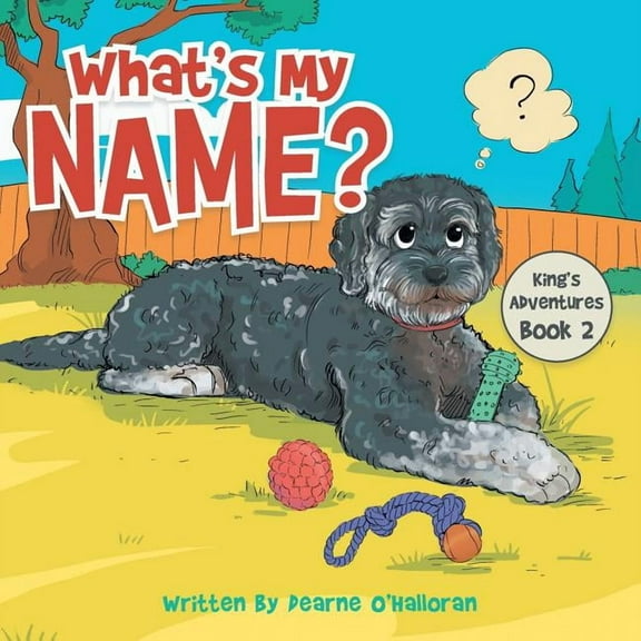 What's My Name?: King's Adventures Book 2, (Paperback)
