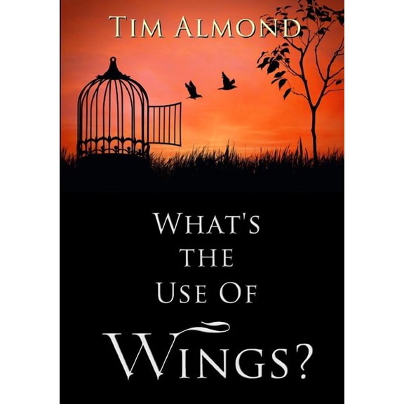 What's The Use Of Wings?, (Paperback)