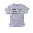 thumbnail image 1 of What's This No Word You Speak Of - Sarcastic Stubborn Boy's Cotton Youth Grey T-Shirt, 1 of 2