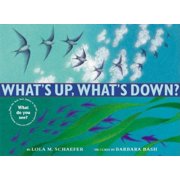Whats Up, Whats Down?, Hardcover