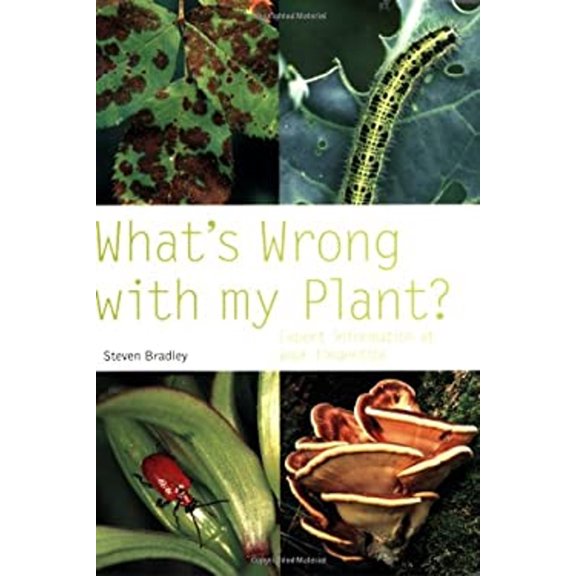 Pre-Owned What's Wrong with My Plant?: Expert Information at Your Fingertips (Paperback) 0600614662 9780600614661