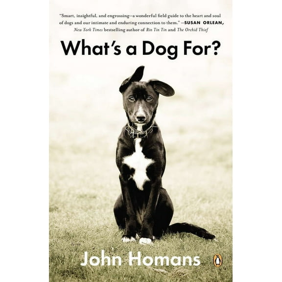 What's a Dog For?: The Surprising History, Science, Philosophy, and Politics of Man's Best Friend, (Paperback)