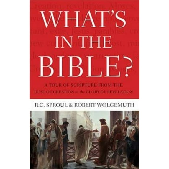 Pre-Owned What's in the Bible: A Tour of Scripture from the Dust of Creation to the Glory of Revelation (Paperback) 1418545988 9781418545987