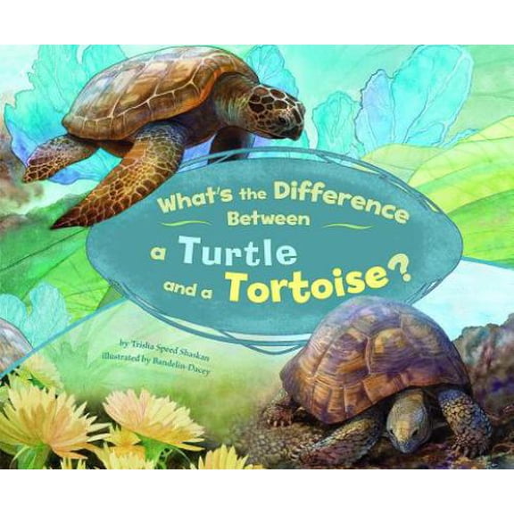 Pre-Owned What's the Difference Between a Turtle and a Tortoise? (Hardcover) 1404855467 9781404855465