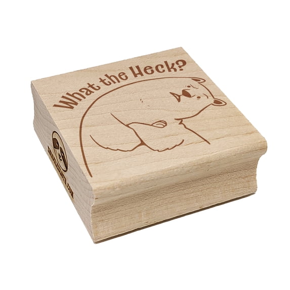 What the Heck Confused Bear Square Rubber Stamp Stamping Scrapbooking Crafting - Medium 1.75in