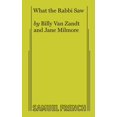 thumbnail image 1 of What the Rabbi Saw, (Paperback), 1 of 1