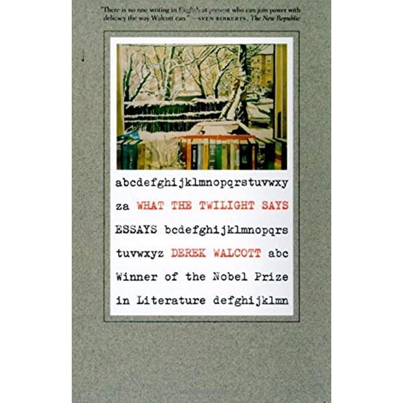 Pre-Owned What the Twilight Says: Essays Paperback