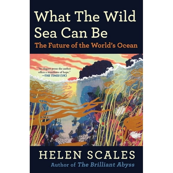 What the Wild Sea Can Be: The Future of the World's Ocean, (Paperback)
