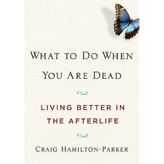 What to Do When You Are Dead : Living Better in the Afterlife (Paperback)