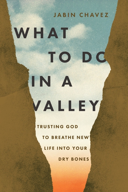 What to Do in a Valley: Trusting God to Breathe New Life Into Your Dry Bones, (Paperback)