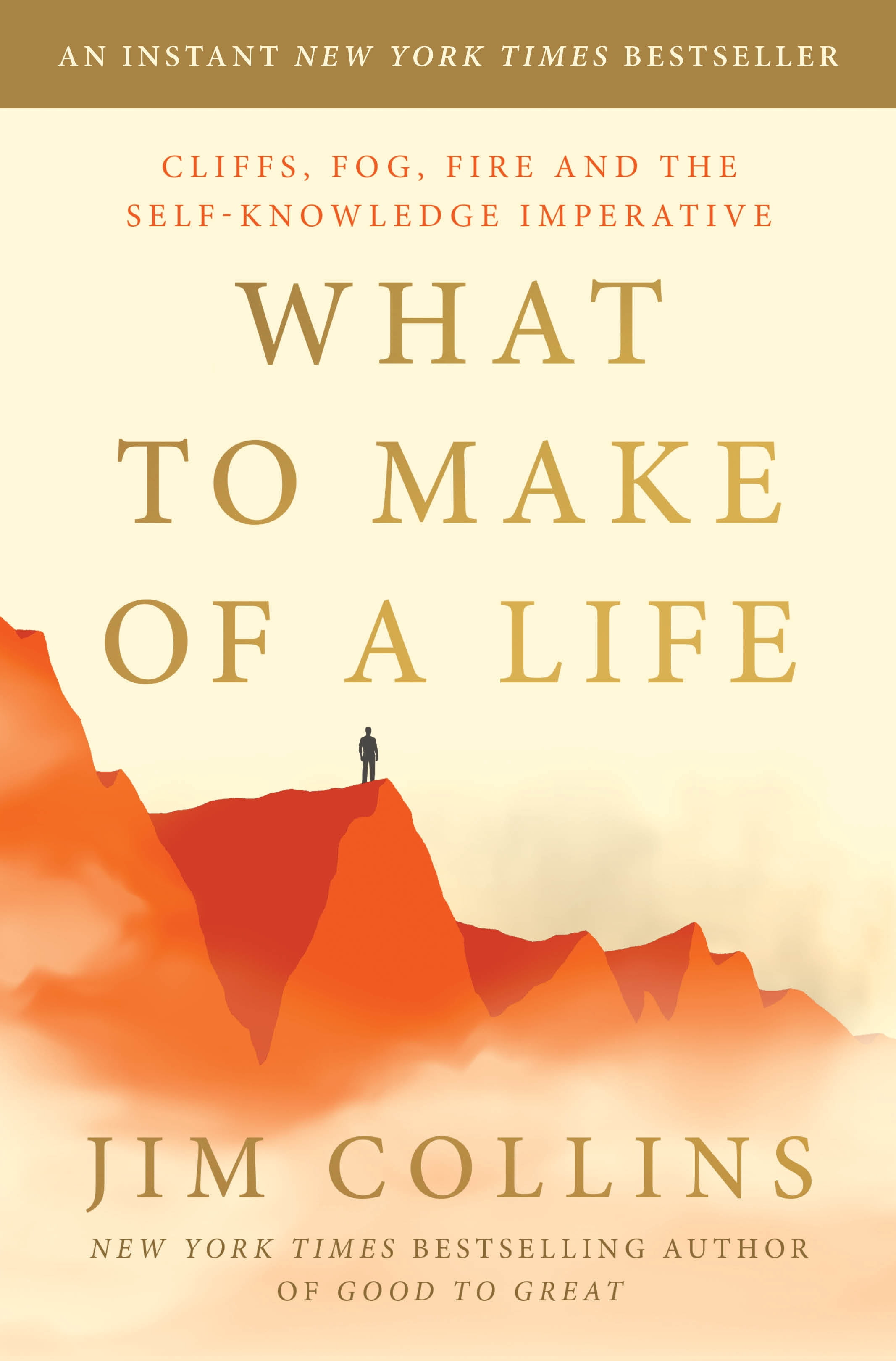 What to Make of a Life: Cliffs, Fog, Fire and the Self-Knowledge Imperative (Hardcover)