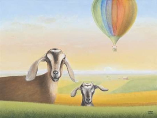 Whats Up Canvas Art - Sharon France (18 x 24)