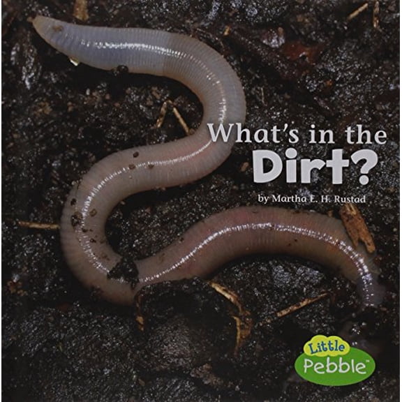 Pre-Owned What's in the Dirt? (Library Binding) 9781491460122