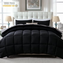 WhatsBedding 3 Pieces Bed in a Bag Comforter Set Duvet Insert,Reversible,Black/Grey,Queen