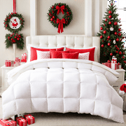 Yalamila WhatsBedding Down Comforter Feather Duvet Insert Cotton Winter Warm White Goose Duck Down Comforter All Season Solid, Queen