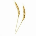 thumbnail image 1 of Wheat Bamboo Skewer - Case of 500, 1 of 1