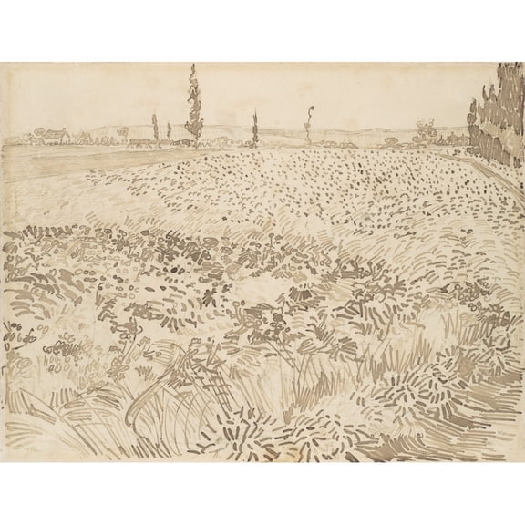 Wheat Field Fine Art (24 x 18)