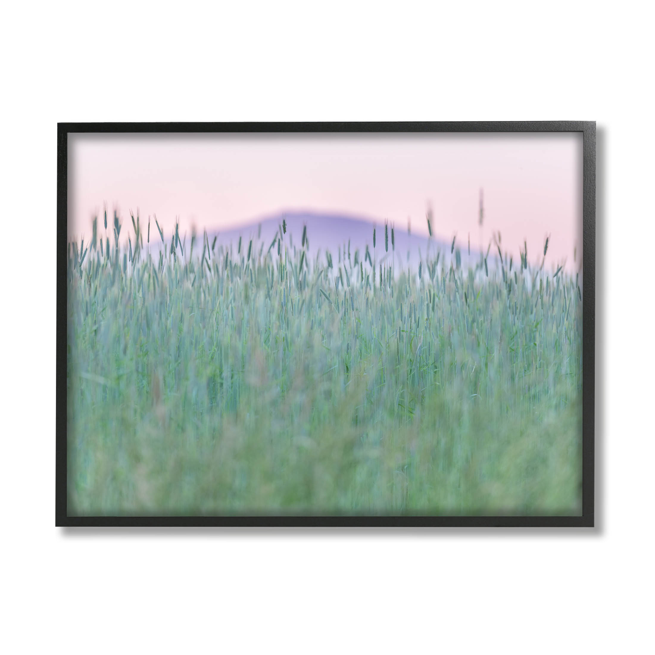 Wheat Field Pastel Mountain Peak Landscape Photograph Black Framed Art Print Wall Art