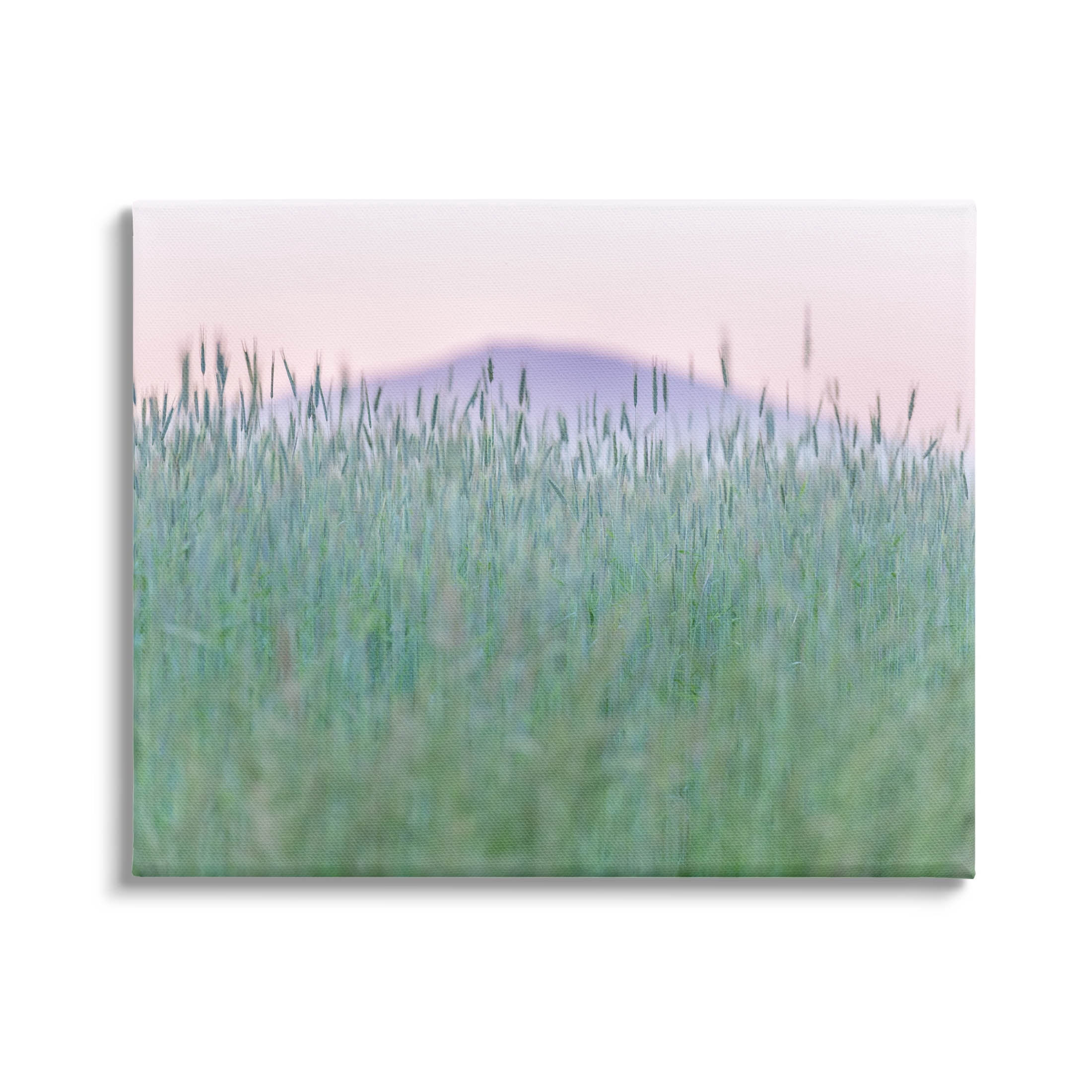 Wheat Field Pastel Mountain Peak Landscape Photograph Gallery Wrapped Canvas Print Wall Art