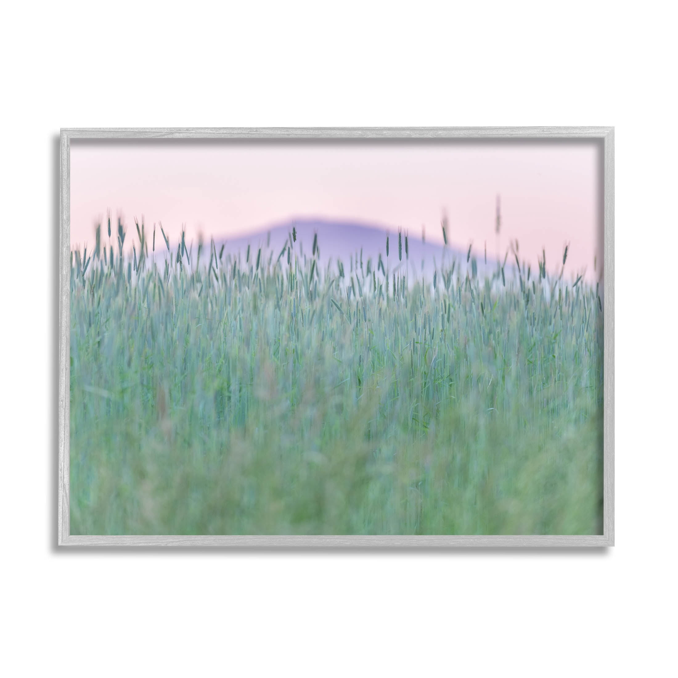 Wheat Field Pastel Mountain Peak Landscape Photograph Gray Framed Art Print Wall Art