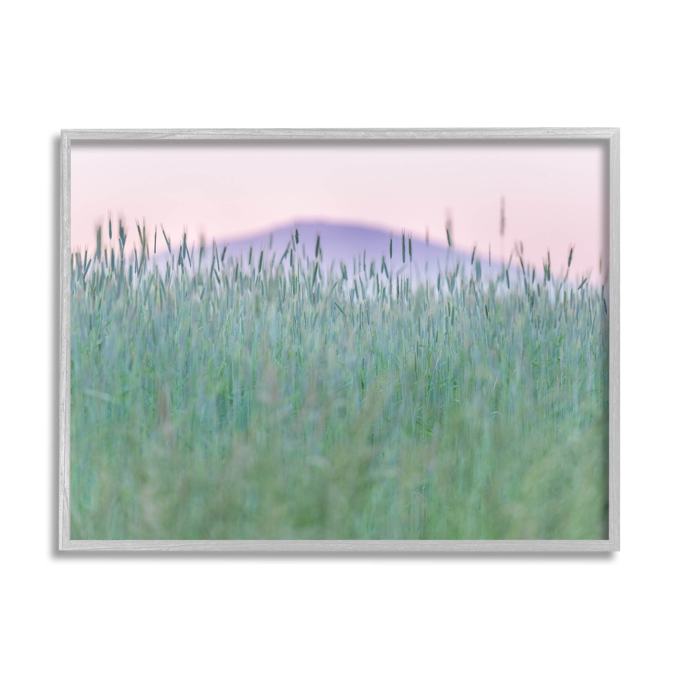Wheat Field Pastel Mountain Peak Landscape Photograph Gray Framed Art Print Wall Art