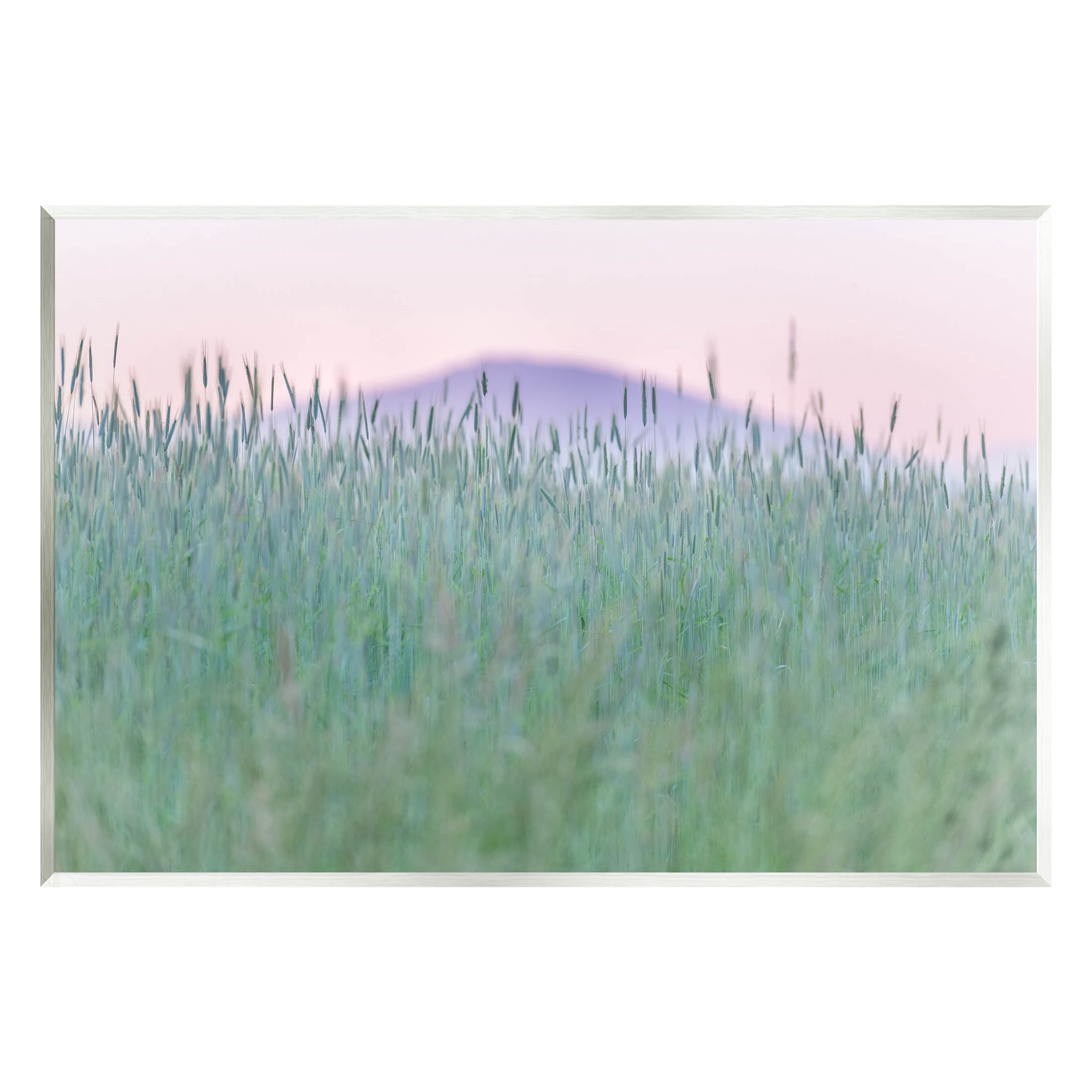 Wheat Field Pastel Mountain Peak Landscape Photograph Unframed Art Print Wall Art