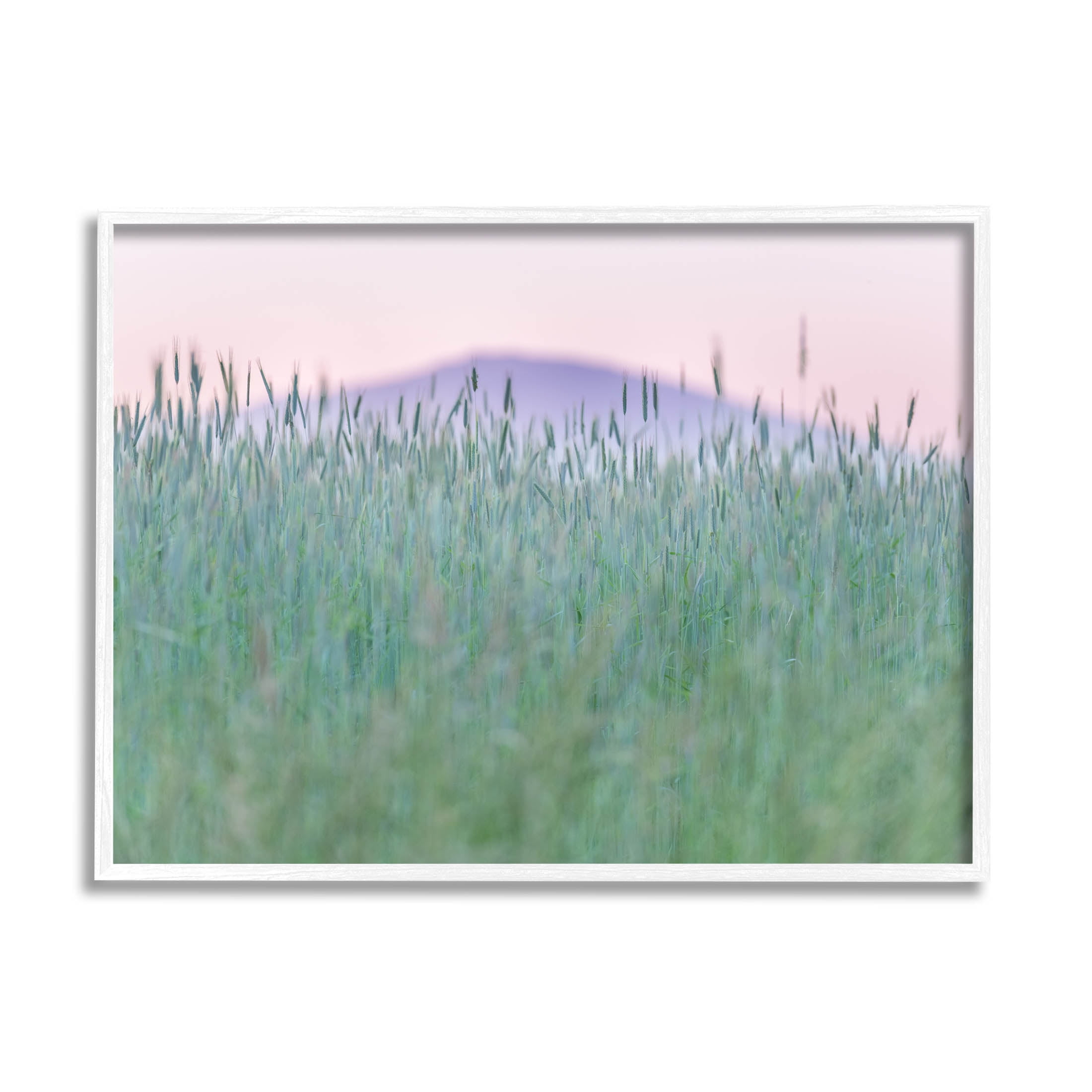Wheat Field Pastel Mountain Peak Landscape Photograph White Framed Art Print Wall Art