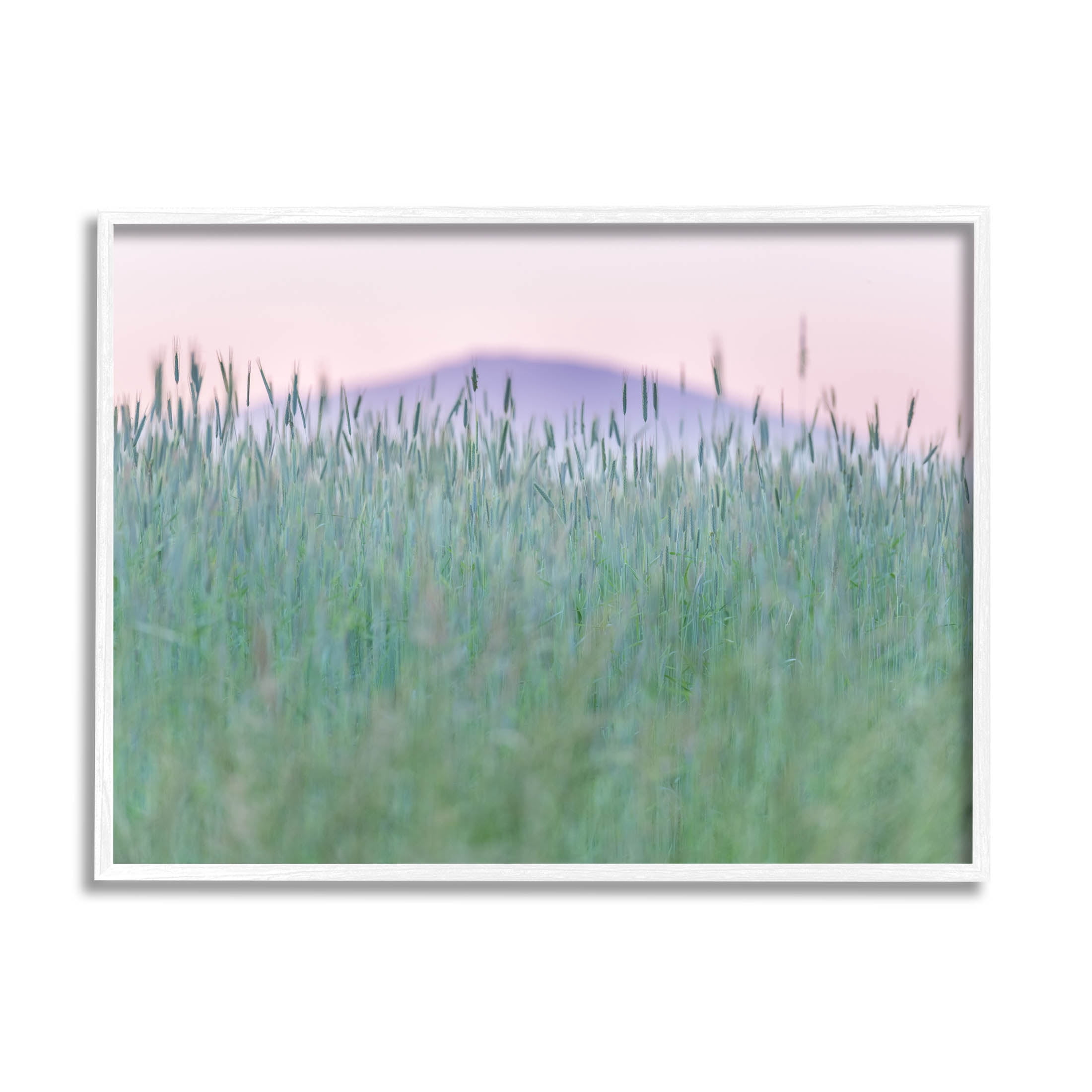 Wheat Field Pastel Mountain Peak Landscape Photograph White Framed Art Print Wall Art
