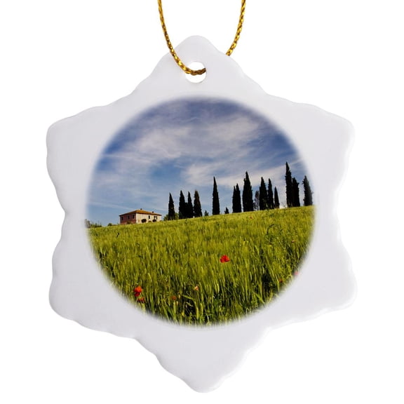 3drose, Wheat Fields, Cypress Trees, Pienza, Tuscany, Italy - Eu16 Teg0457 - Terry Eggers, 3 inch Snowflake Porcelain Ornament