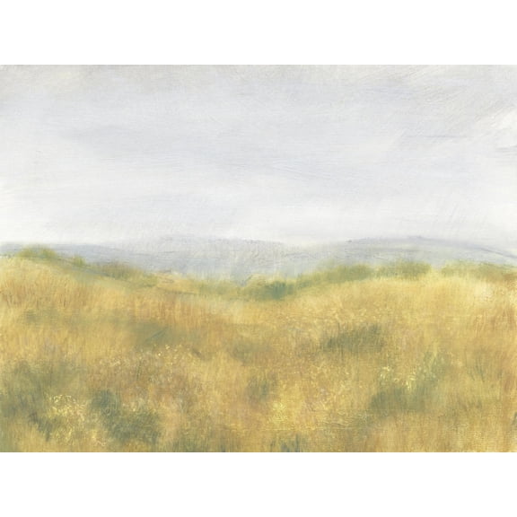 Art.com Wheat Fields I Art Print by Tim OToole, 16" x 12"