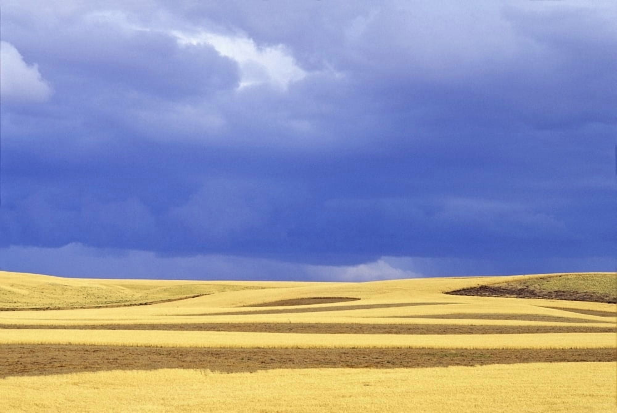 Wheat Fields Near Hermiston Oregon Usa Canvas Art - Dan Sherwood Design Pics (18 x 12)