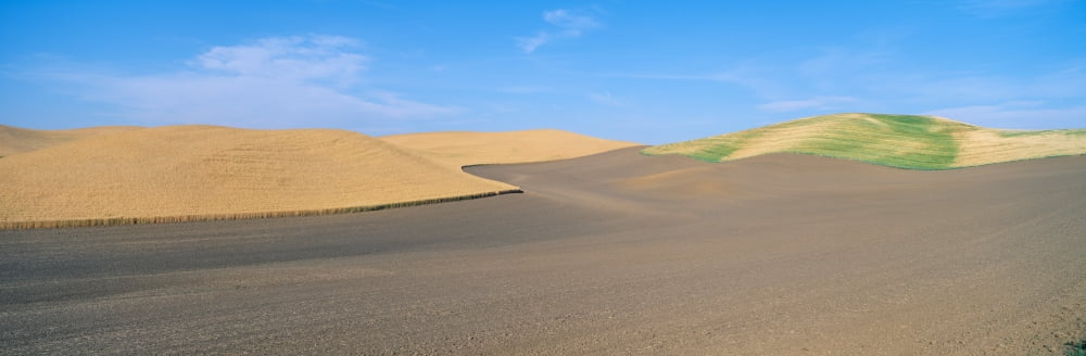 Wheat Fields SE Washington Canvas Art - Panoramic Images (36 x 12)