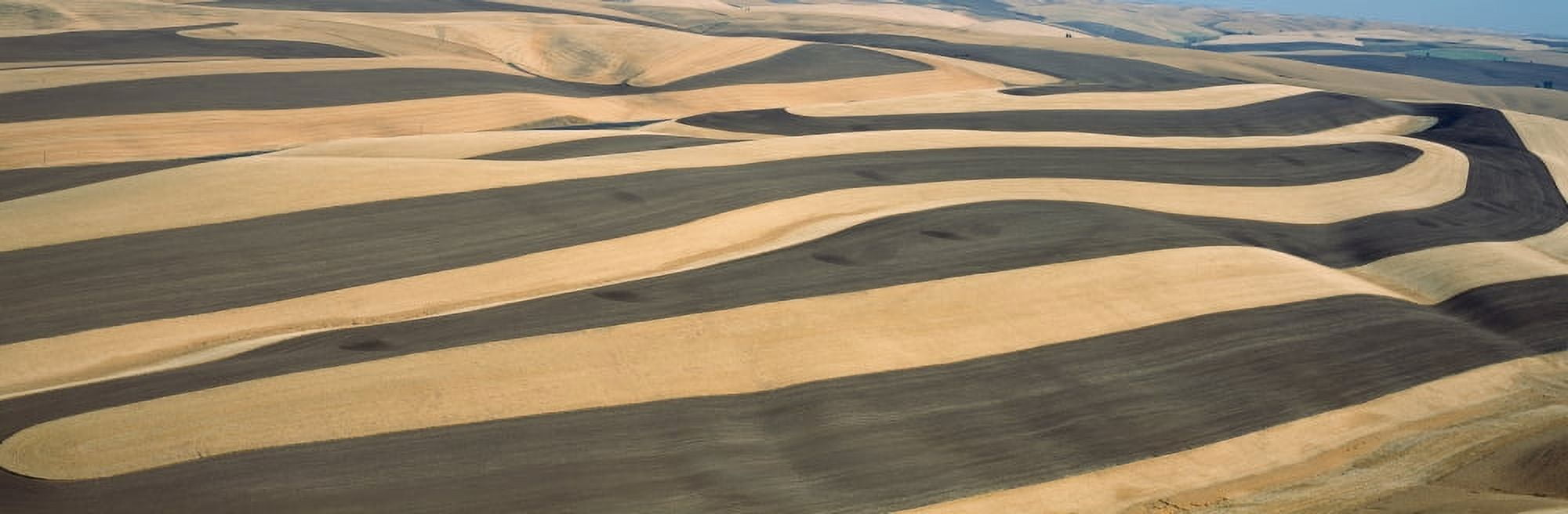 Wheat Fields and Contour Farming SE Washington Canvas Art - Panoramic Images (27 x 9)