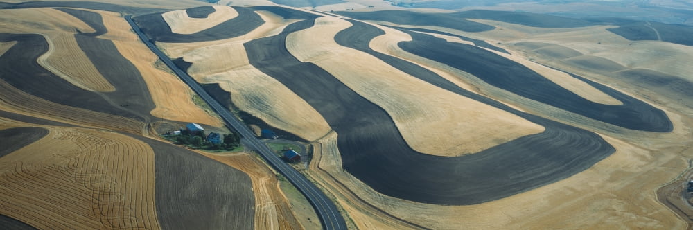 Wheat Fields and Contour Farming SE Washington Canvas Art - Panoramic Images (36 x 12)