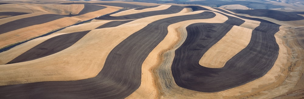 Wheat Fields and Contour Farming SE Washington Canvas Art - Panoramic Images (36 x 12)