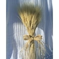 thumbnail image 1 of Wheat Stalks Bundle - 8oz blond 40-60 stems Decorative Wheat Bundles -- Case of 20 bunches - Short, 1 of 1