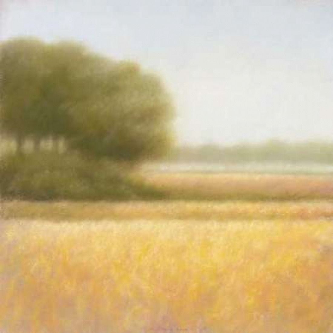 Wheat field Canvas Art - Hans Dolieslager (24 x 24)