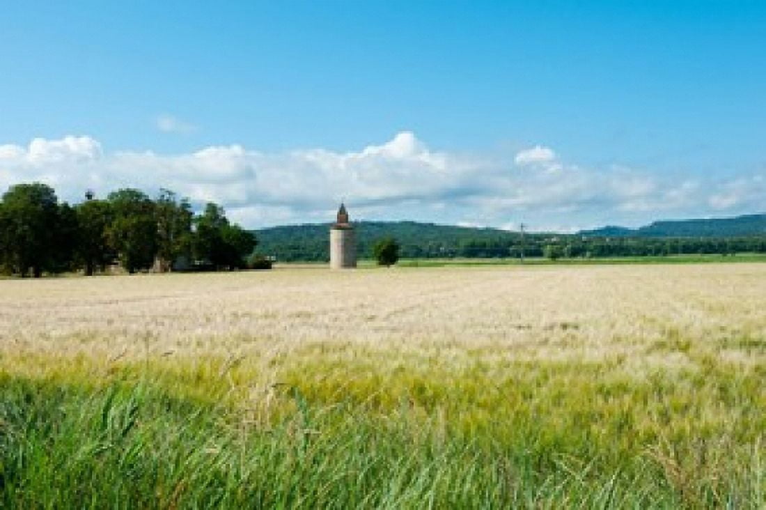 Wheat field with a tower Meyrargues Bouches-Du-Rhone Provence-Alpes-Cote dAzur France Canvas Art - Panoramic Images (36 x 24)