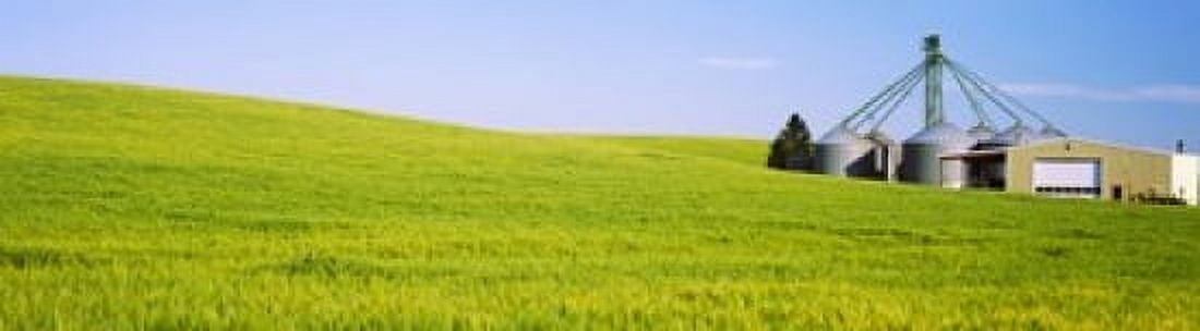 Wheat field with silos in the background Palouse County Washington State USA Canvas Art - Panoramic Images (21 x 6)