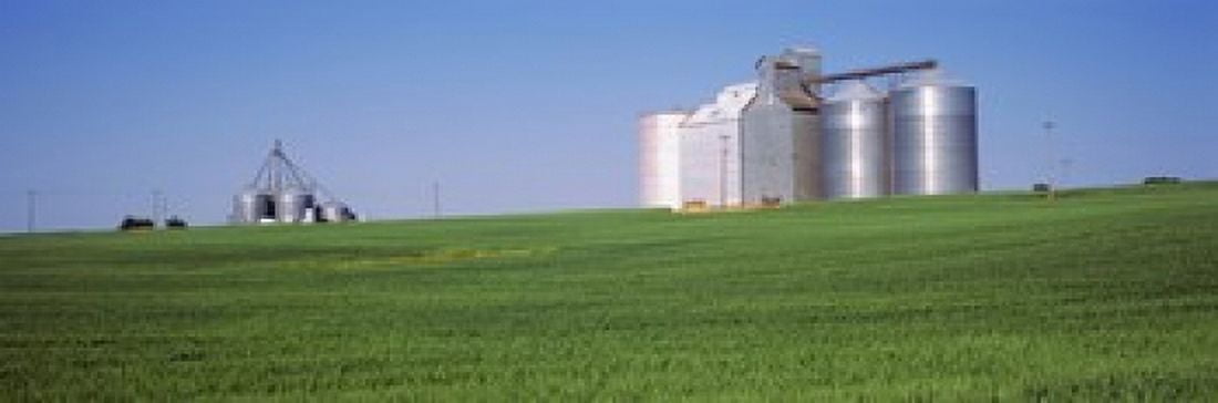Wheat field with silos in the background Palouse County Washington State USA Canvas Art - Panoramic Images (36 x 12)