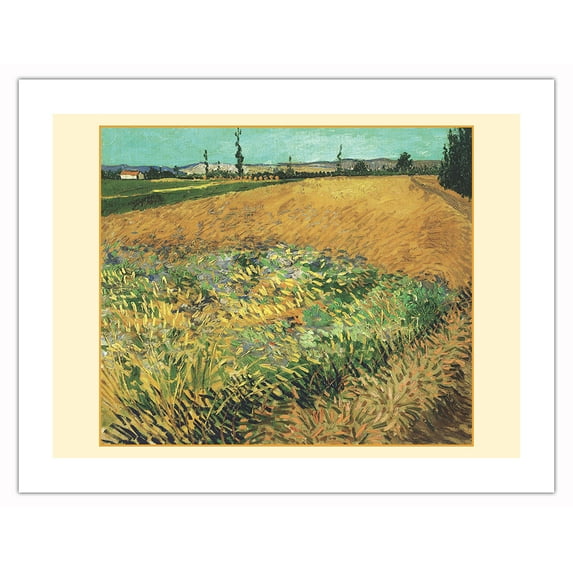 Wheatfield - Arles, France - From an Original Color Painting by Vincent Van Gogh c.1888 - Bamboo Fine Art 290gsm Paper (Unframed) 17x22in