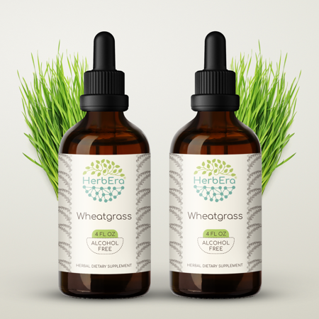 Wheatgrass Alcohol-FREE Herbal Extract Tincture, Super-Concentrated Organic Wheatgrass (Triticum aestivum) Dried Leaf 2x4 oz
