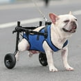 thumbnail image 1 of Wheel Adjustable Rear Support Wheelchair for Small Dogs, 1 of 6