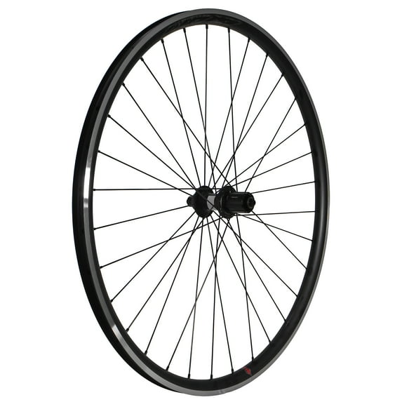 Wheel Factory Velocity Quill Rim Brake 700c DT 350 10x130 QR, HG-rd